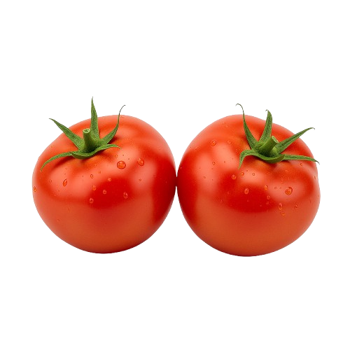 Fresh Tomatoes